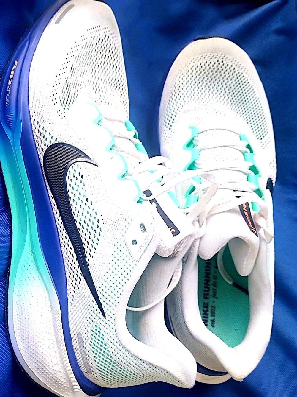 Nike Air Zoom Pegasus 41 White Black Men's